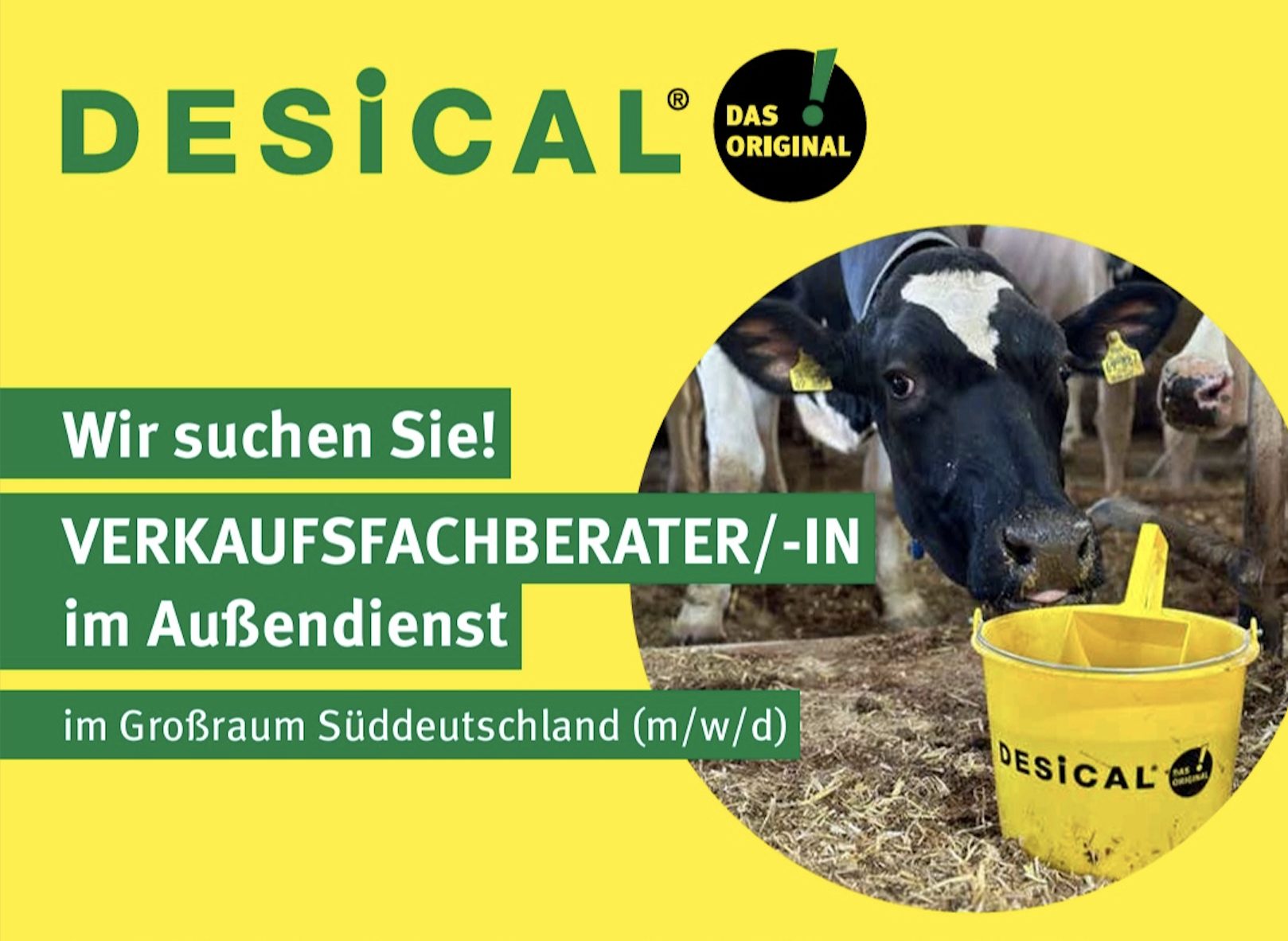 Futtertischanstrich, Hygienepulver im Stall Desical, Jobs, Vertriebsmitarbeiterin